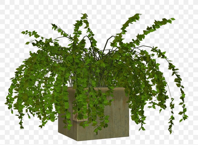 Plant Flowerpot, PNG, 1024x753px, Plant, Branch, Digital Image, Flower, Flowerpot Download Free