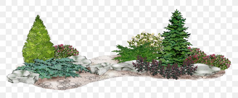 Spruce Fir Conifers Common Juniper Flower Garden, PNG, 1000x414px, Spruce, Arborvitae, Bonsai, Branch, Christmas Decoration Download Free