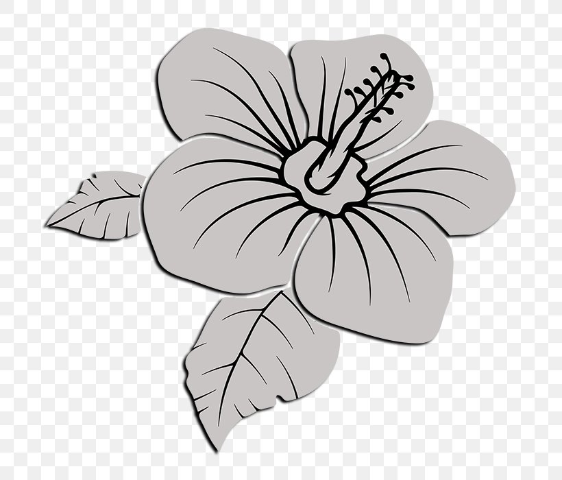 Delta Sigma Theta Drawing, PNG, 749x700px, Delta Sigma Theta, Black And White, Cut Flowers, Drawing, Flora Download Free