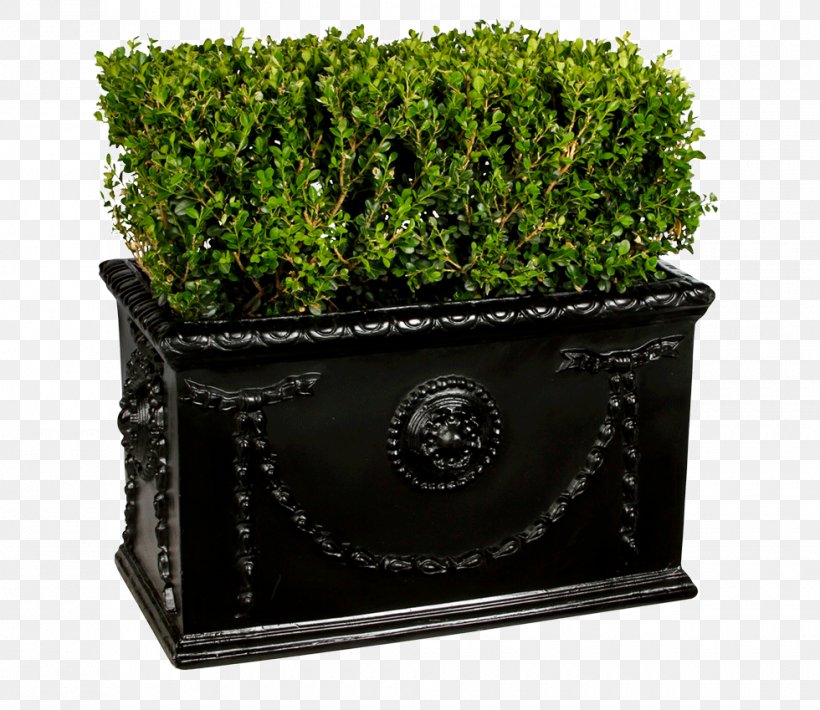 Hedge Box Shrub New York City Plant, PNG, 980x849px, Hedge, Box, Flowerpot, Grass, New York City Download Free