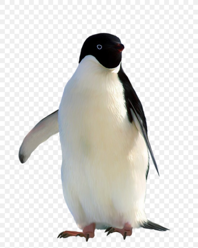 Penguin Gratis Linux, PNG, 800x1024px, Penguin, Beak, Bird, Cuteness, Fauna Download Free