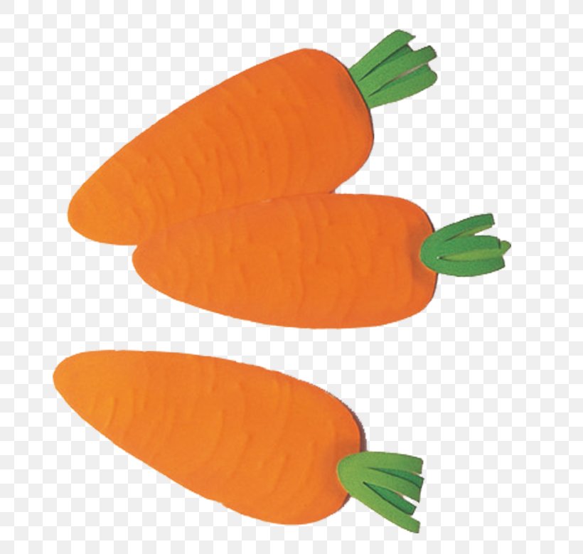 Carrot Vegetable Illustration, PNG, 736x779px, Carrot, Cabbage, Cauliflower, Chinese Cabbage, Cooking Download Free