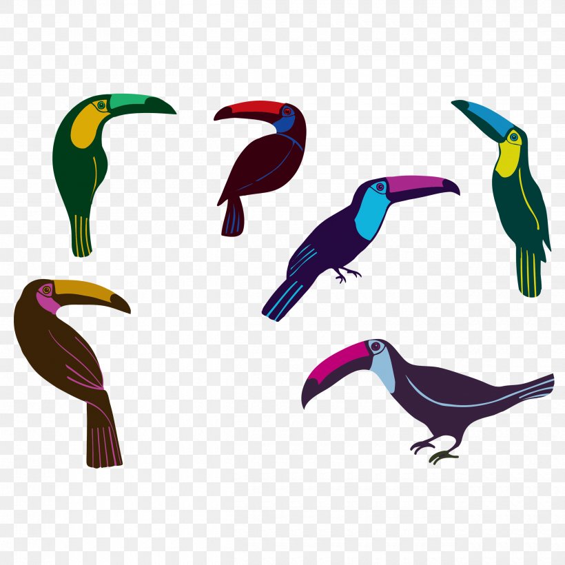 Bird Parrot Toucan Beak Image, PNG, 2500x2500px, Bird, Animal, Beak, Fauna, Feather Download Free