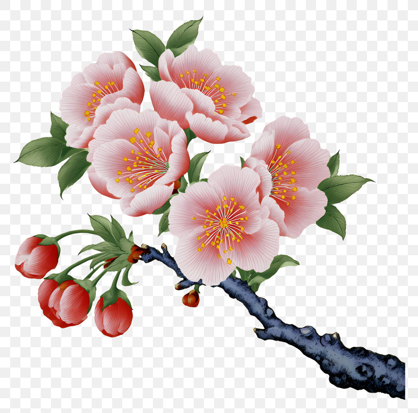Chinese Painting Cherry Blossom - Delicate Pink Cherry Blossom Branch PNG
