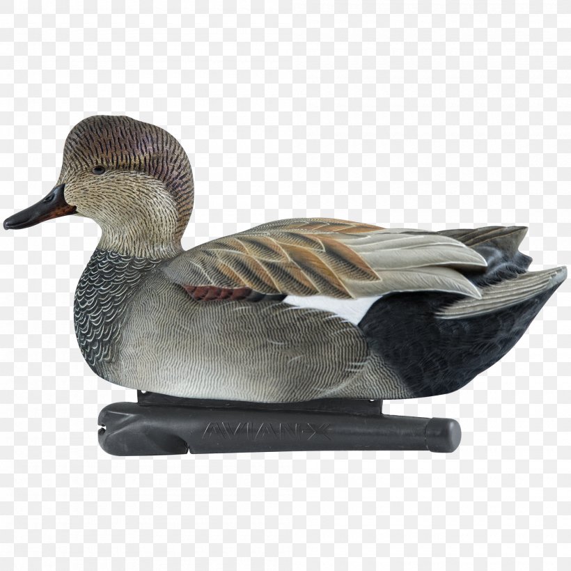 Duck Decoy Mallard Bird Gadwall, PNG, 2000x2000px, Duck, American Black Duck, Beak, Bird, Decoy Download Free