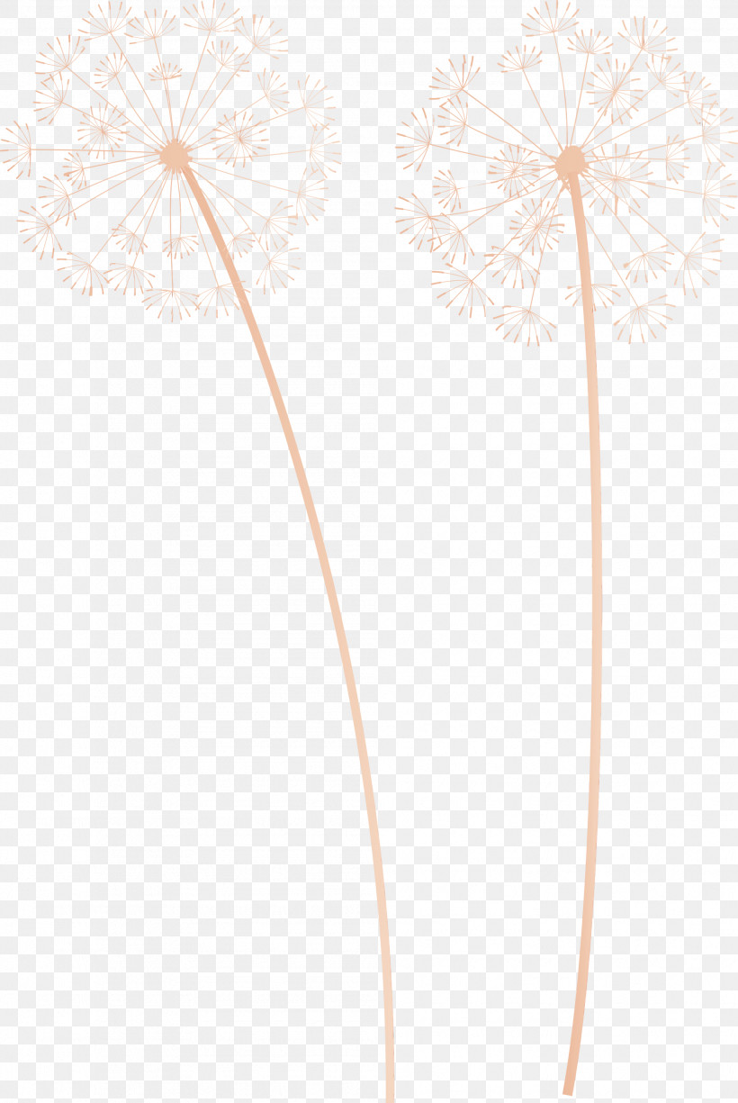 Plant Stem Flower Line Plants Biology, PNG, 2007x3000px, Dandelion, Biology, Flower, Geometry, Line Download Free