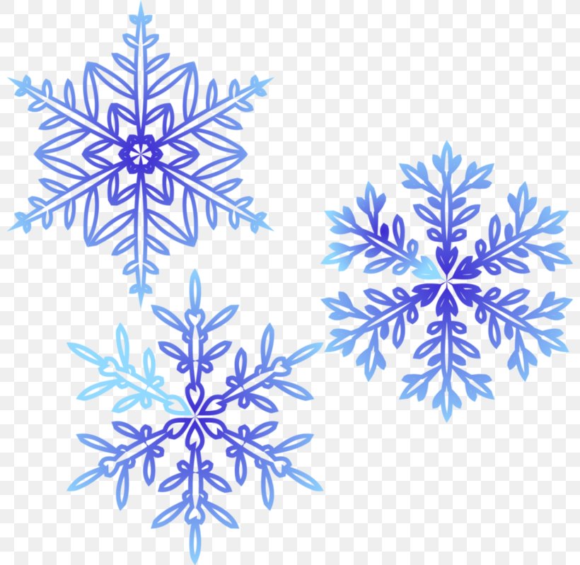 Snowflake Christmas Day Christmas Ornament Image, PNG, 800x799px, Snowflake, Blue, Branch, Christmas Day, Christmas Decoration Download Free