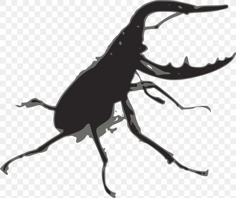 Stag Beetle Lucanus Cervus Clip Art, PNG, 2400x2012px, Beetle, Animal, Arthropod, Artwork, Black And White Download Free