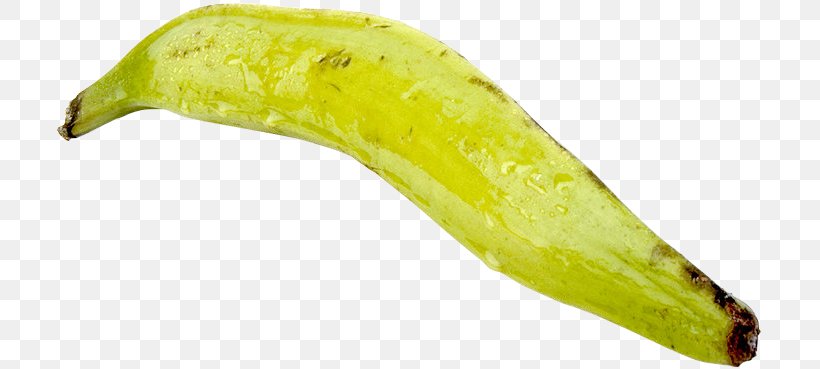 Cooking Banana Vegetable, PNG, 709x369px, Cooking Banana, Cooking, Cooking Plantain, Fruit, Larva Download Free