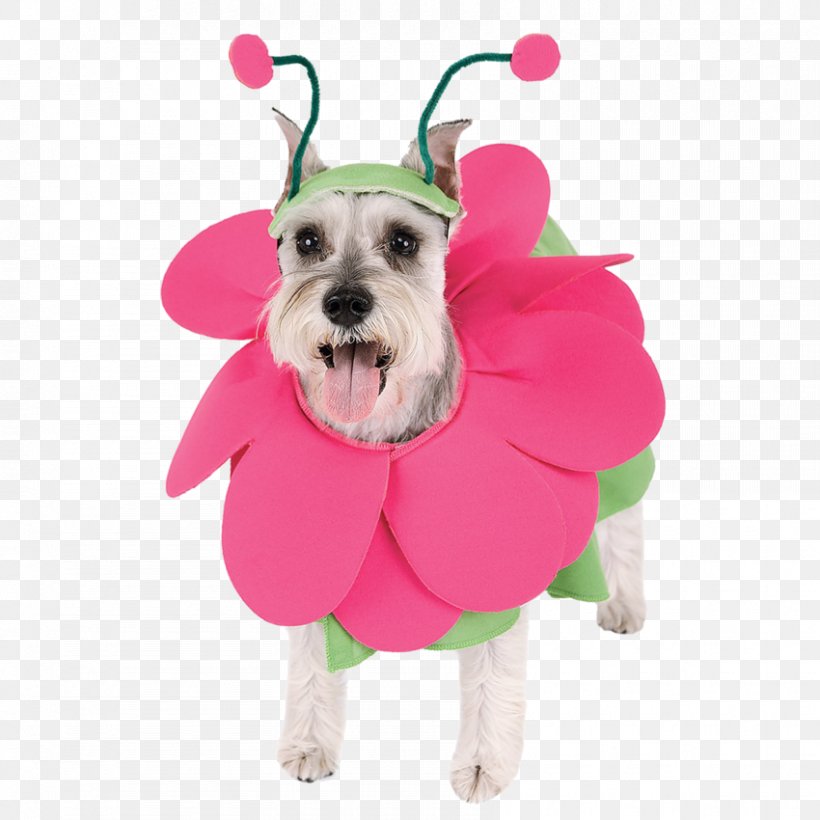 Pug Puppy Costume Flower Bouquet, PNG, 850x850px, Pug, Artificial Flower, Carnivoran, Christmas, Clothing Download Free