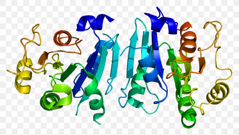 SAR1B SAR1A Protein GTPase ADP Ribosylation Factor, PNG, 928x523px, Watercolor, Cartoon, Flower, Frame, Heart Download Free