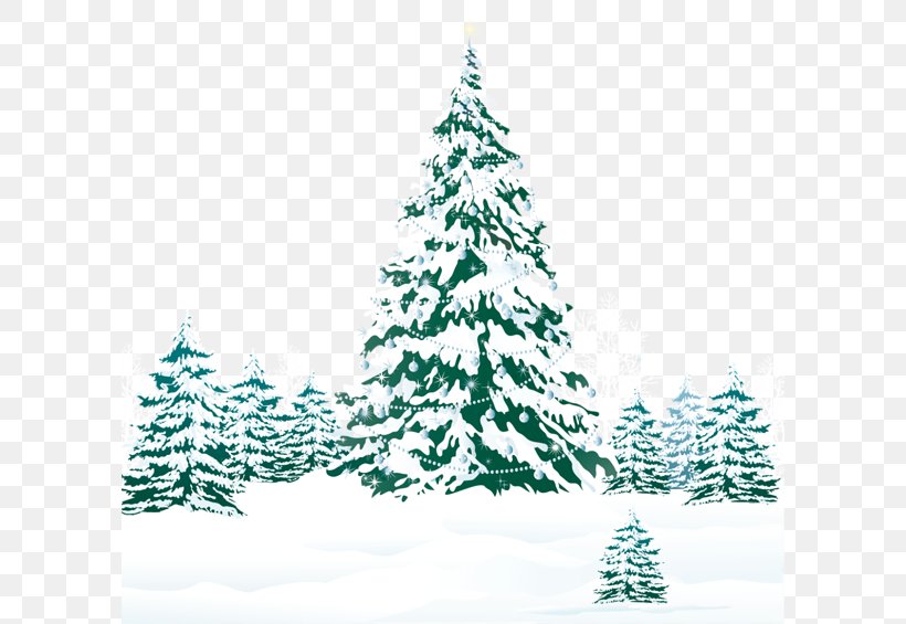 Christmas Black And White, PNG, 600x565px, Tree, American Larch, Balsam Fir, Branch, Canadian Fir Download Free