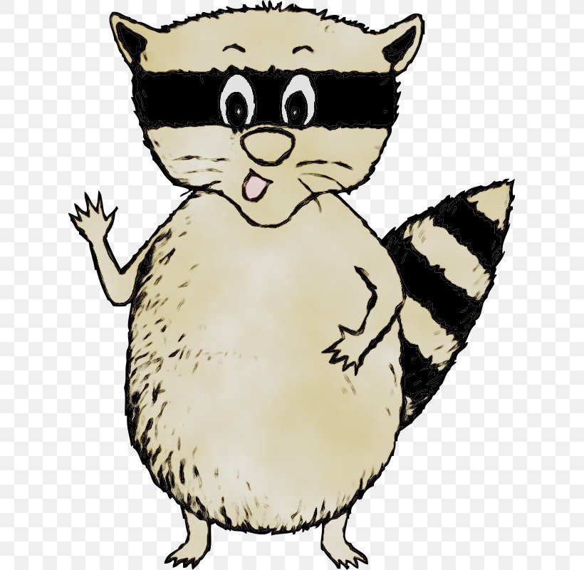 Clip Art Whiskers Illustration Cartoon Raccoon, PNG, 627x800px, Whiskers, Bear, Canidae, Cartoon, Cat Download Free