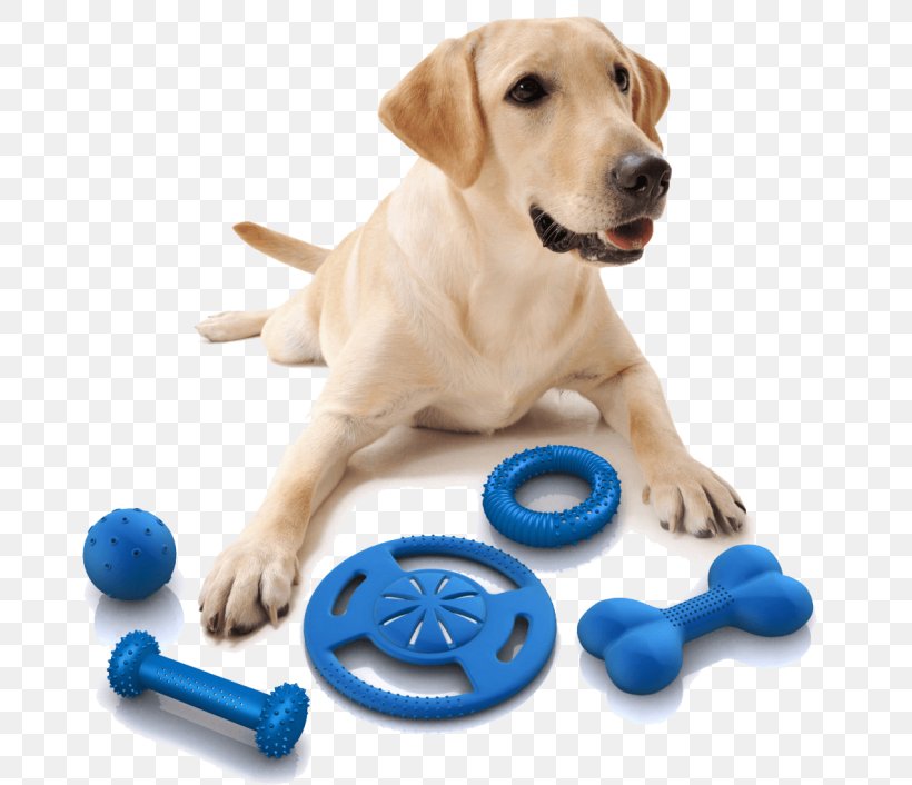 Dog Toys Pet Puppy, PNG, 700x706px, Dog, Carnivoran, Cat, Companion Dog, Dog Breed Download Free