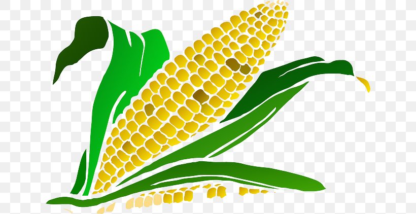 Maize Drawing Clip Art, PNG, 640x422px, Maize, Agriculture, Cereal, Commodity, Corn On The Cob Download Free
