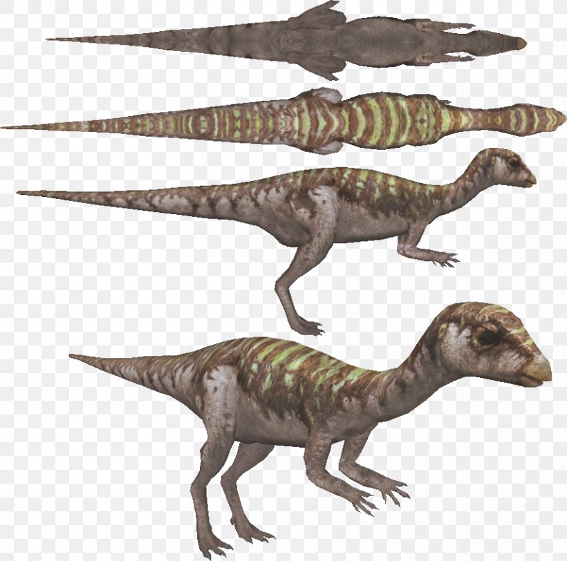 Velociraptor Tyrannosaurus Terrestrial Animal, PNG, 854x846px, Velociraptor, Animal, Animal Figure, Dinosaur, Extinction Download Free