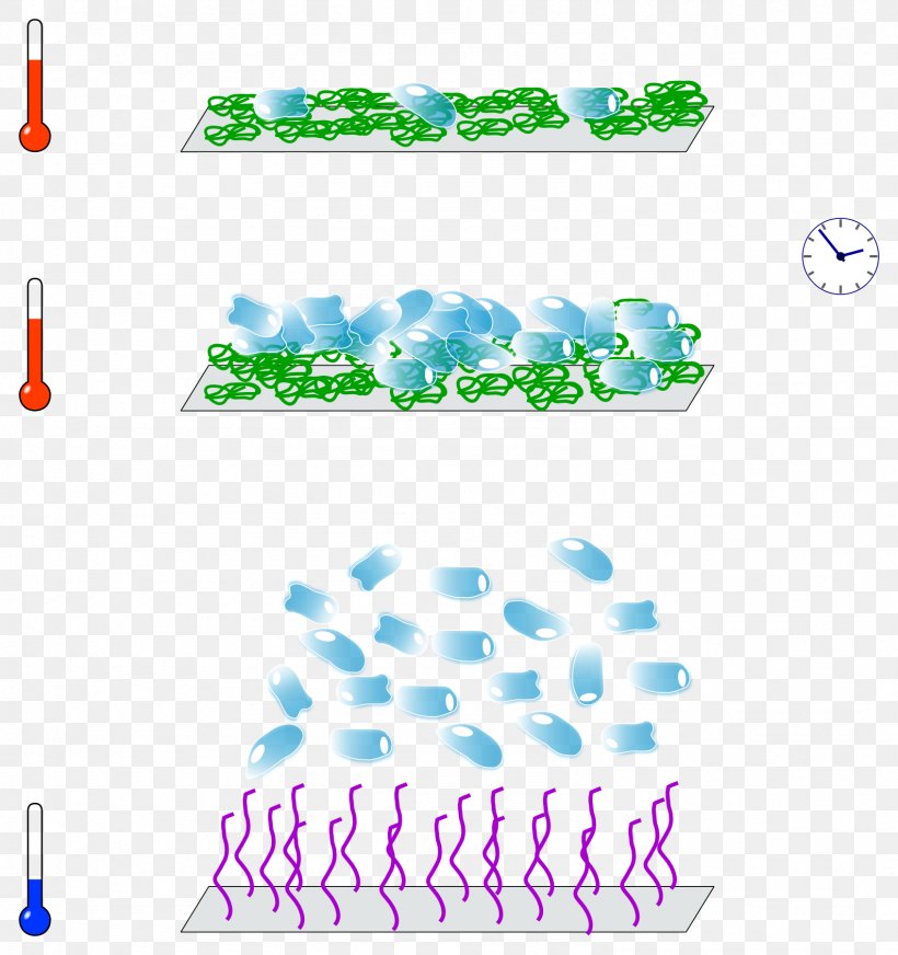 Monolayer Tissue Culture Suspension, PNG, 1587x1688px, Monolayer, Aqua, Area, Brand, Culture Download Free