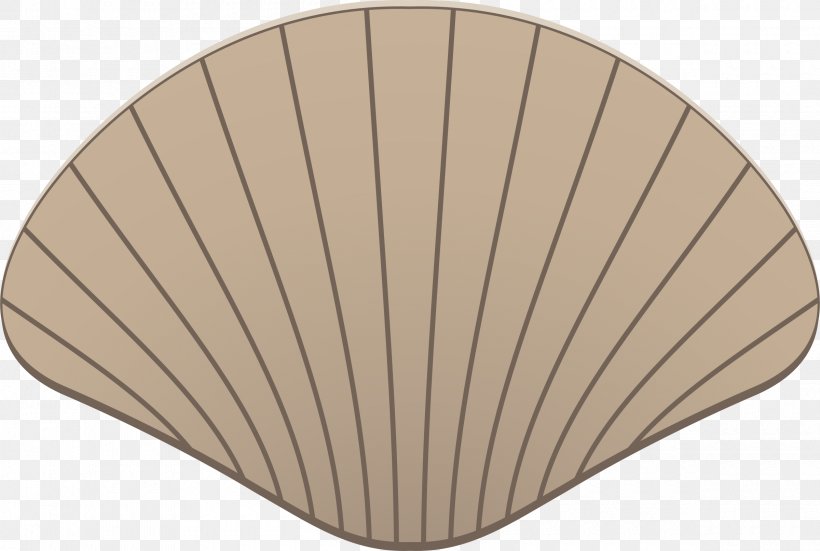 Seashell Drawing Clip Art, PNG, 2400x1614px, Seashell, Beige, Conch, Drawing, Line Art Download Free
