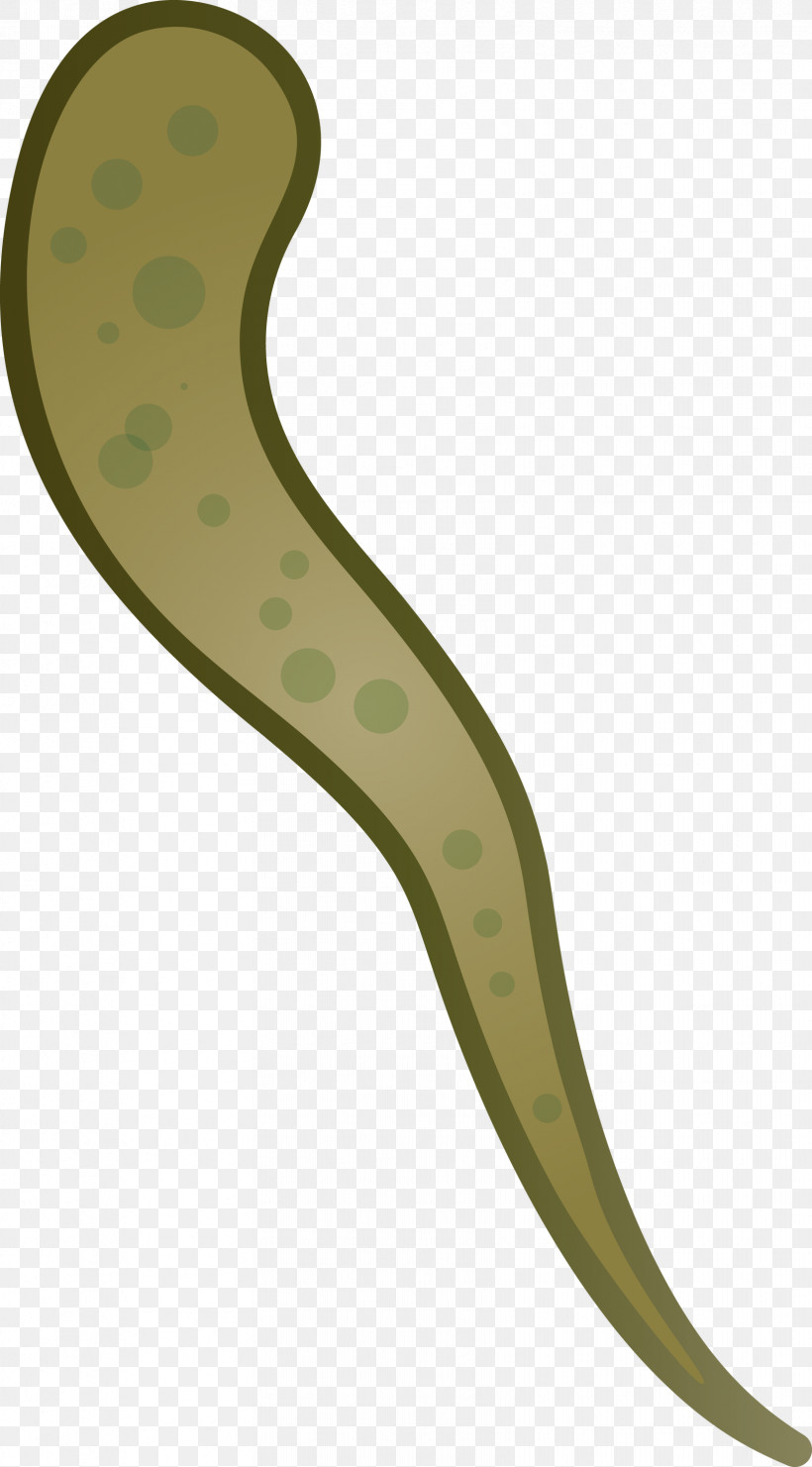 Virus, PNG, 1661x3000px, Virus, Flatworm, Green, Plant Download Free