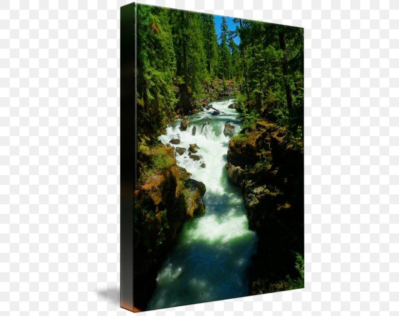 Waterfall Desktop Wallpaper Watercourse Water Resources Bridge, PNG, 443x650px, Waterfall, Body Of Water, Bridge, Cash Advance, Chute Download Free
