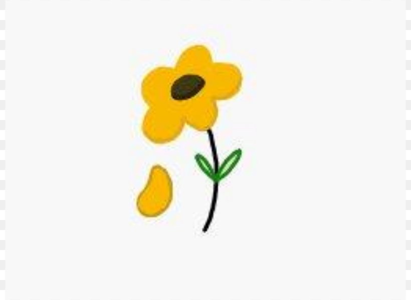 Yellow Common Sunflower Common Daisy Clip Art, PNG, 800x600px, Yellow, Common Daisy, Common Sunflower, Drawing, Flora Download Free