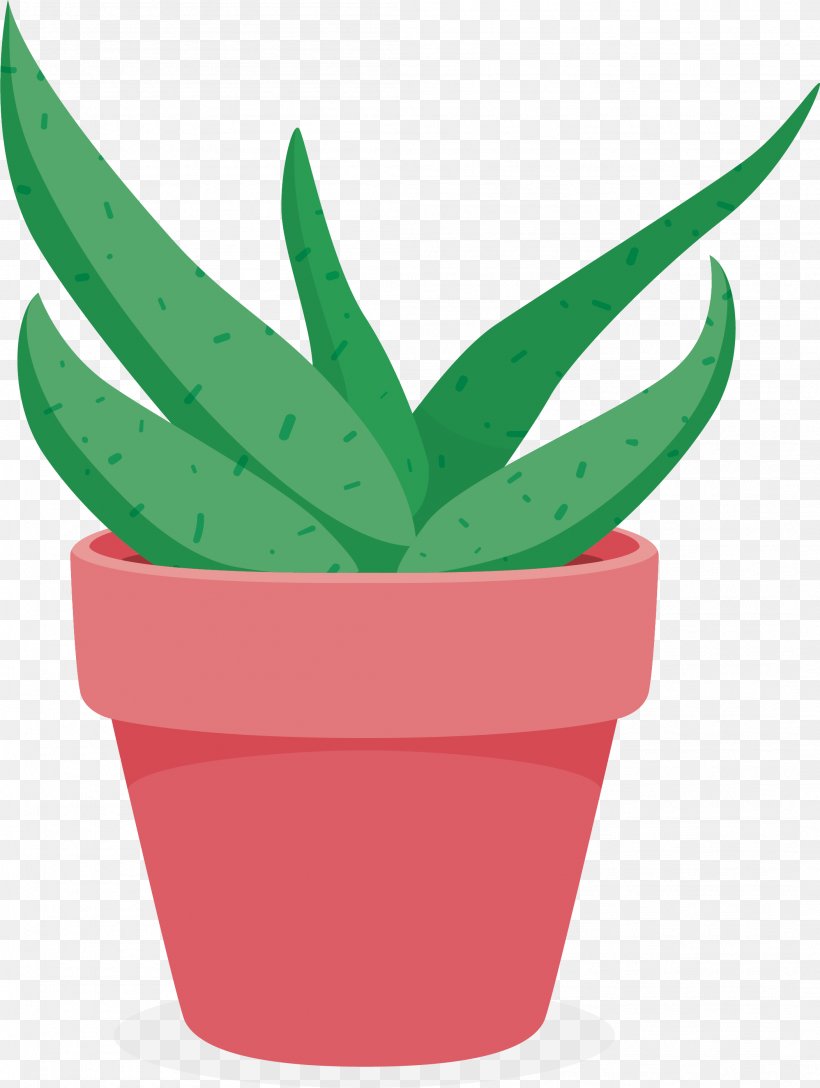 Aloe Flowerpot Plant, PNG, 2104x2792px, Aloe, Agave, Flowering Plant, Flowerpot, Grass Download Free