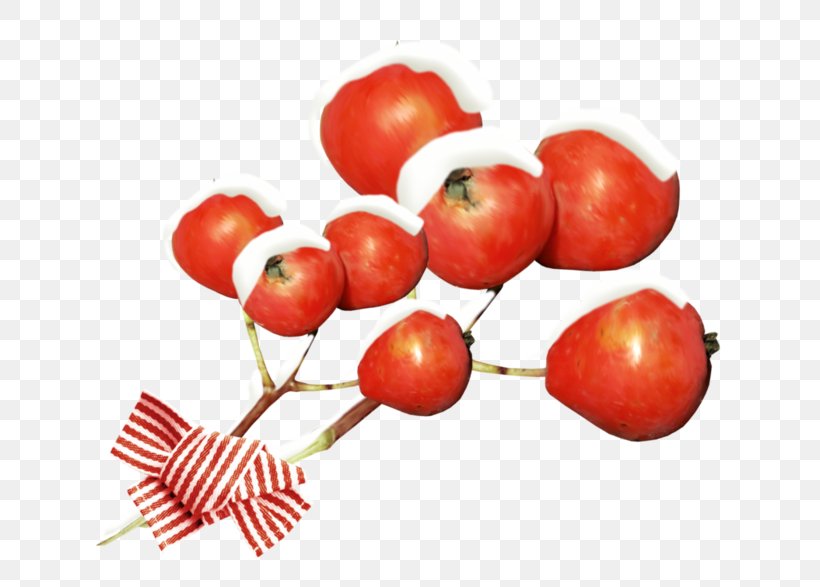 Barbados Cherry Accessory Fruit Rose Hip Food Pomegranate, PNG, 700x587px, Barbados Cherry, Accessory Fruit, Acerola, Acerola Family, Apple Download Free