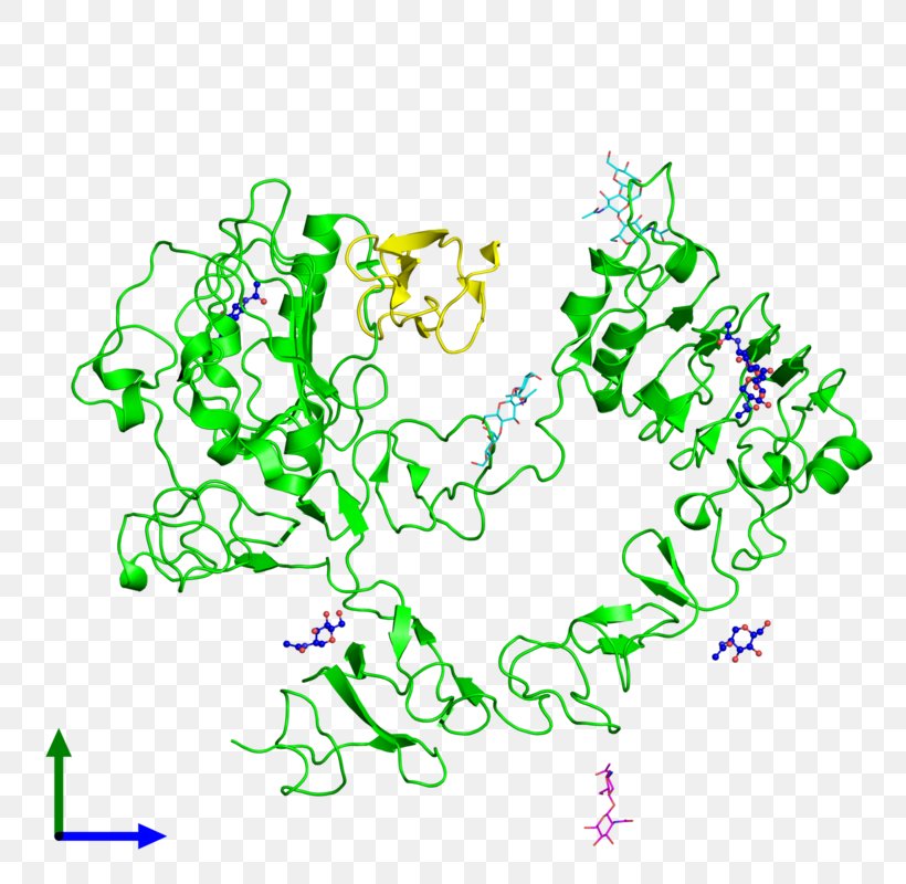 Epidermal Growth Factor Receptor Molecule ErbB, PNG, 800x800px, Epidermal Growth Factor, Area, Cell, Cell Growth, Cell Surface Receptor Download Free