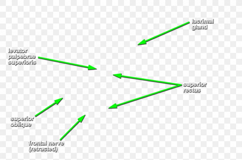 Line Angle Diagram, PNG, 1000x664px, Diagram, Grass, Green, Triangle Download Free