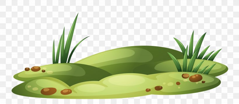 Clip Art, PNG, 5429x2371px, Lawn, Amphibian, Common Daisy, Garden, Grass Download Free