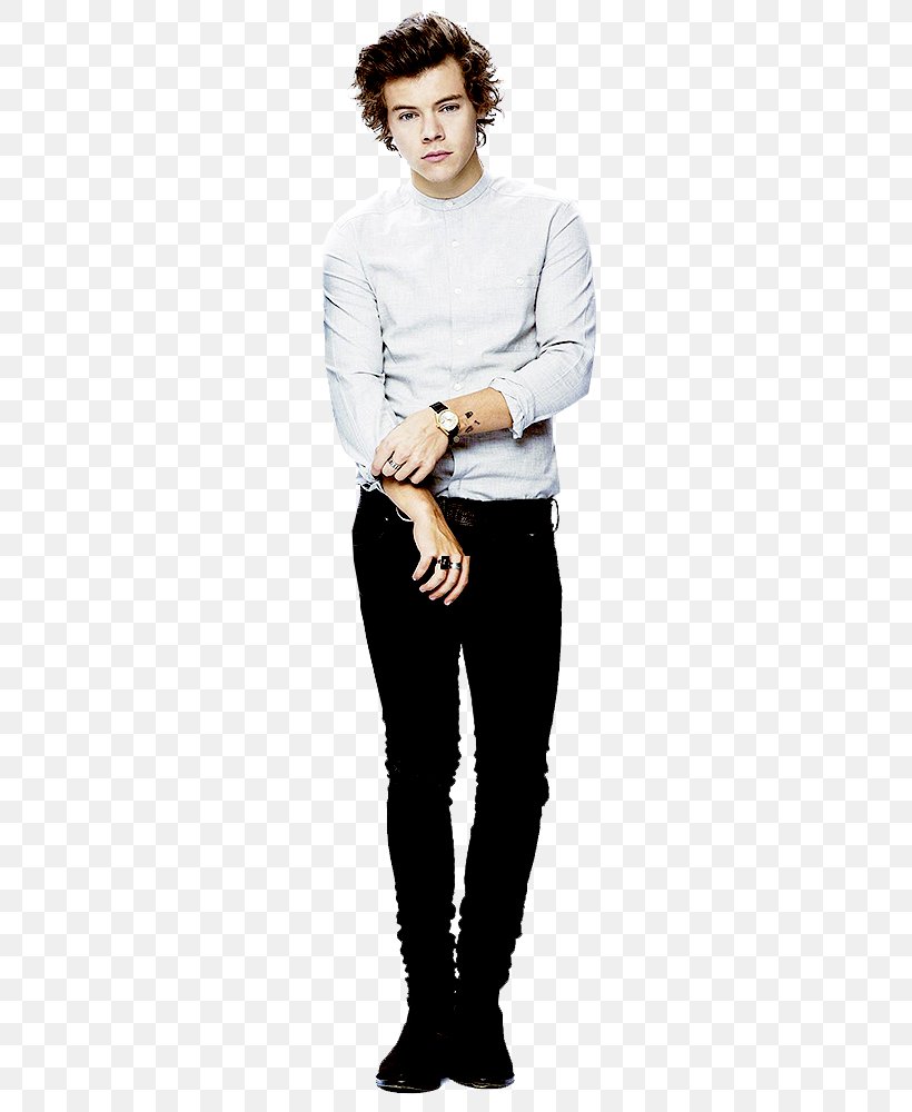 Harry Styles One Direction, PNG, 500x1000px, Watercolor, Cartoon, Flower, Frame, Heart Download Free