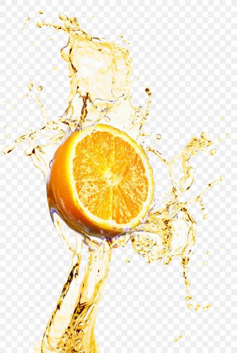 Orange Juice Lemonade, PNG, 3408x5072px, Juice, Citrus, Drink, Food, Fruit Download Free