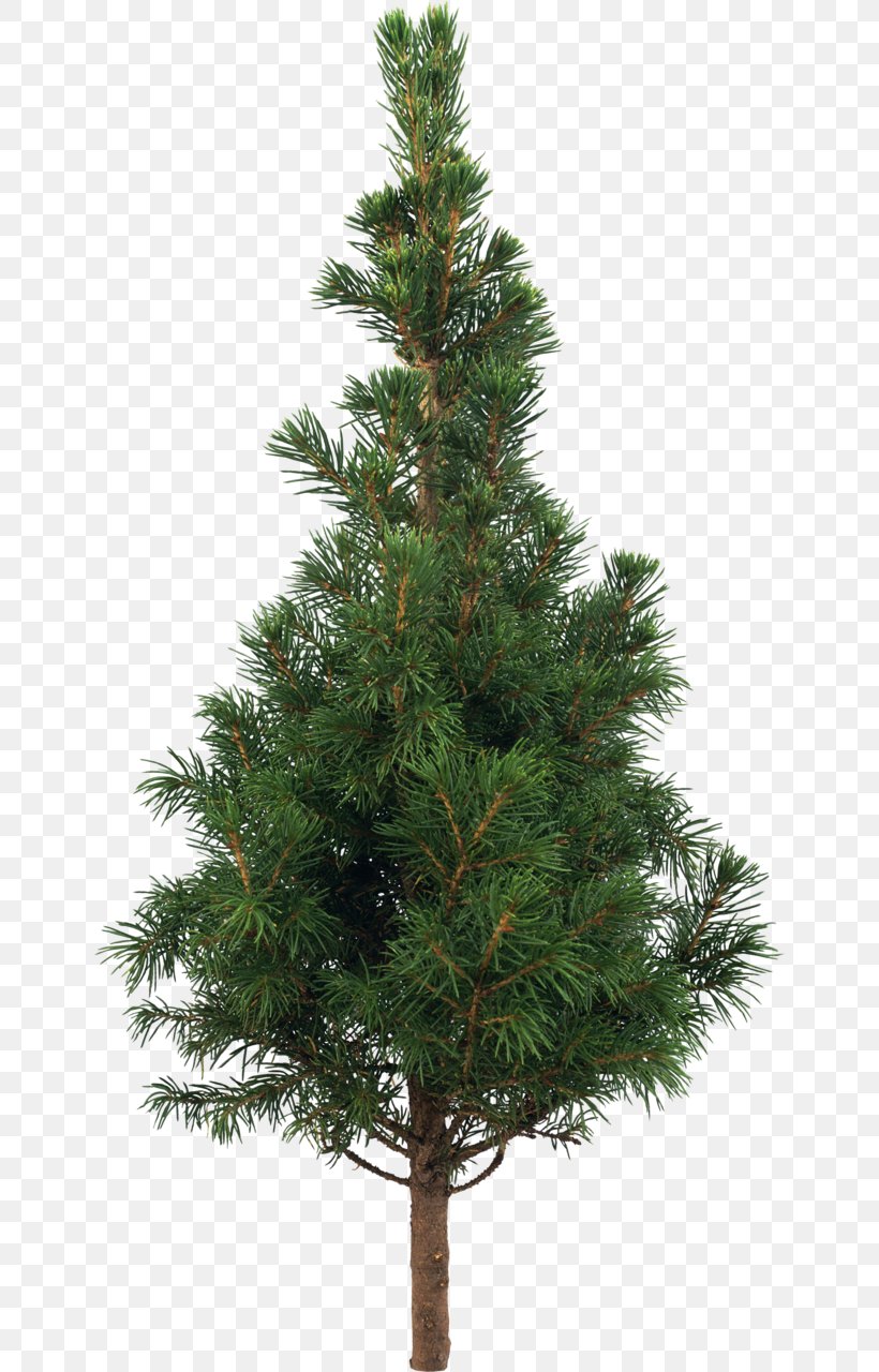Scots Pine Fir Artificial Christmas Tree, PNG, 644x1280px, Scots Pine, Artificial Christmas Tree, Balsam Hill, Biome, Branch Download Free
