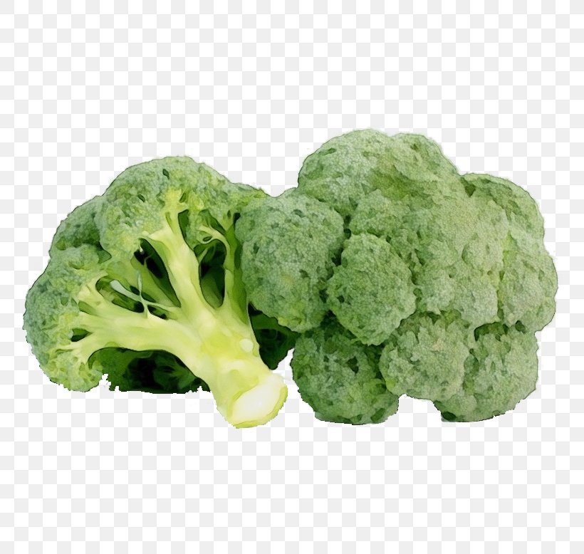 Cauliflower, PNG, 778x778px, Watercolor, Broccoli, Cabbage, Cauliflower, Cruciferous Vegetables Download Free