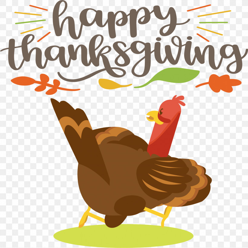 Happy Thanksgiving Turkey, PNG, 2055x2060px, Happy Thanksgiving, Beak, Biology, Birds, Chicken Download Free