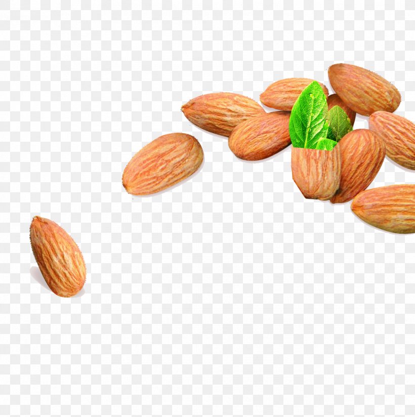 Macaroon Nut Apricot Kernel Almond Biscuit Vegetarian Cuisine, PNG, 1019x1024px, Macaroon, Almond, Almond Biscuit, Annin Tofu, Apricot Kernel Download Free