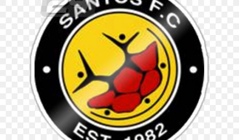 Santos F.C. SAFA Second Division National First Division Chief Santos Cape Town, PNG, 745x480px, Santos Fc, Brand, Cape Town, Football, Football Team Download Free