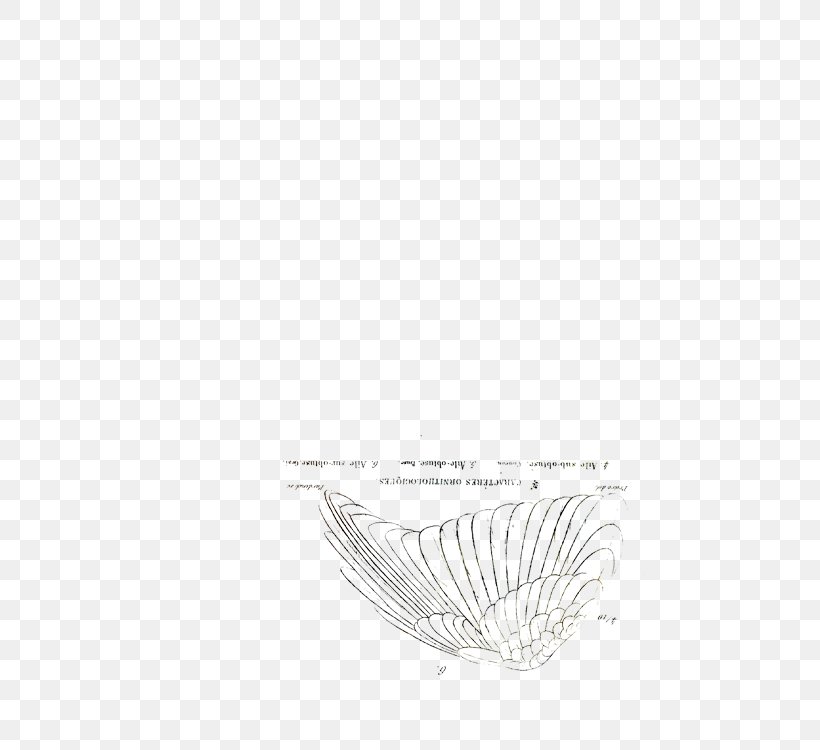 Feather White Drawing /m/02csf Font, PNG, 750x750px, Feather, Black, Black And White, Drawing, Monochrome Download Free