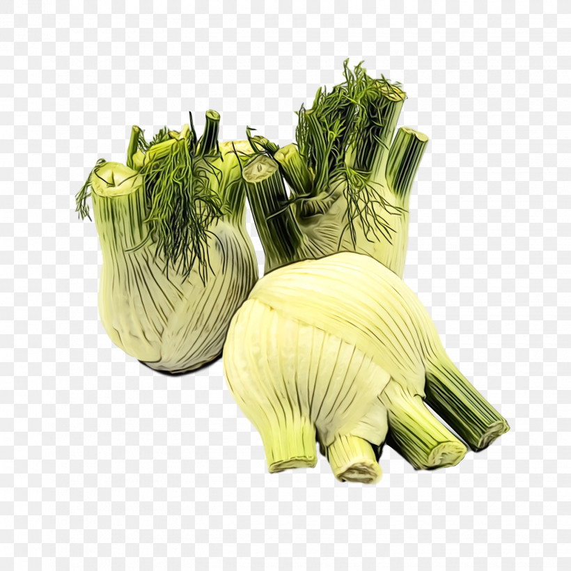 Fennel Leaf Vegetable Herb, PNG, 1440x1440px, Watercolor, Fennel, Herb, Leaf Vegetable, Paint Download Free