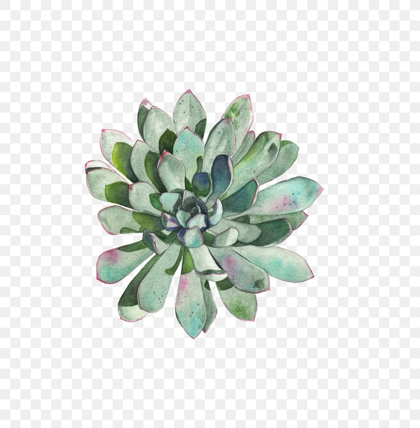 Paper Succulent Plant Watercolor Painting Printmaking Drawing, PNG, 564x836px, Paper, Art, Artist, Botanical Illustration, Charles Rennie Mackintosh Download Free
