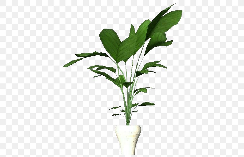 Plants Leaf Houseplant Product Project, PNG, 750x527px, Plants, Apartment, Computer Software, Cria, Flower Download Free