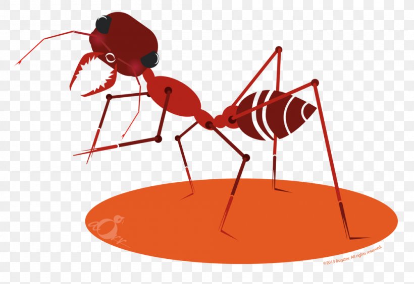 The Ants Atom Ant Insect Clip Art, PNG, 1000x689px, Ant, Ant And The Grasshopper, Ant Colony, Ants, Aphid Download Free