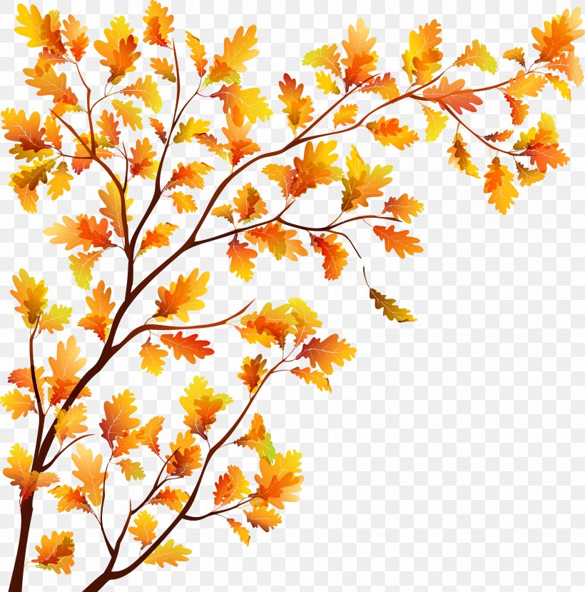 Tree Autumn Leaf, PNG, 3491x3532px, Tree, Autumn, Autumn Leaf Color, Branch, Deciduous Download Free
