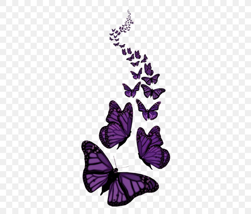 Butterfly Desktop Wallpaper Clip Art, PNG, 370x700px, Butterfly, Blue, Brush Footed Butterfly, Butterflies And Moths, Color Download Free