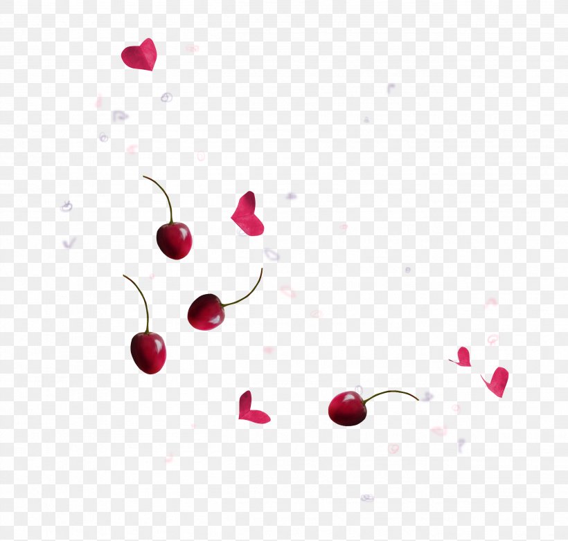 Cherry Download Clip Art, PNG, 2598x2480px, Cherry, Auglis, Cartoon, Copyright, Flower Download Free