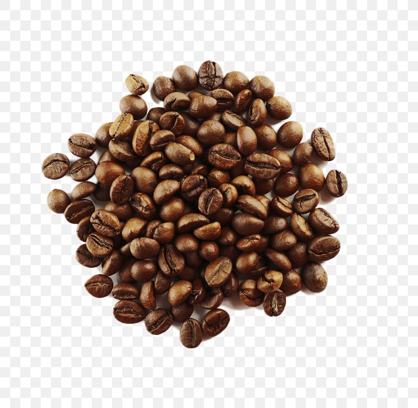 Coffee Bean Cafe Arabica Coffee Coffee Roasting, PNG, 800x800px, Coffee, Arabica Coffee, Bean, Brown, Cafe Download Free