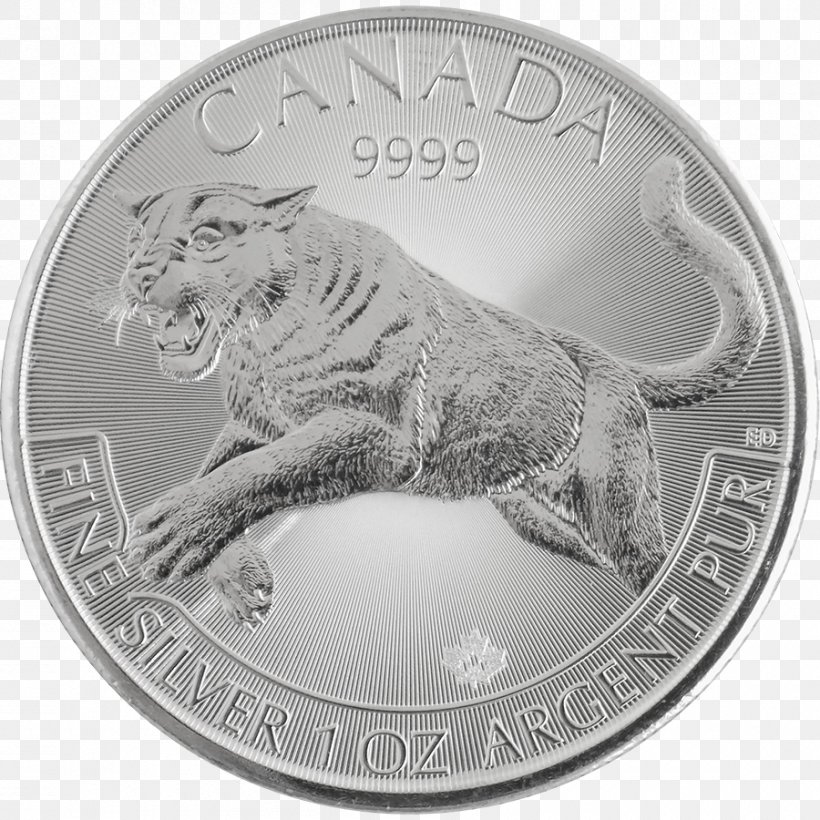 Coin Canadian Silver Maple Leaf Royal Canadian Mint Canada, PNG, 900x900px, Coin, Amazoncom, Canada, Canadian Literature, Canadian Silver Maple Leaf Download Free