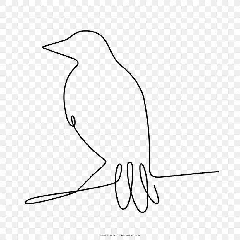 Drawing Coloring Book Common Raven Bird, PNG, 1000x1000px, Drawing, Animal, Area, Art, Artwork Download Free