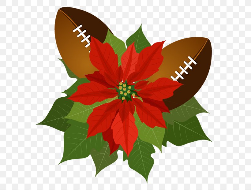 Poinsettia Clip Art Christmas Christmas Day, PNG, 621x621px, Poinsettia, Christmas Day, Christmas Decoration, Christmas Plants, Clip Art Christmas Download Free