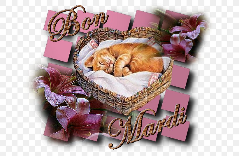 Food Gift Baskets Puppy Love, PNG, 700x535px, Food Gift Baskets, Basket, Cat, Gift, Gift Basket Download Free